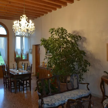 Caotorta